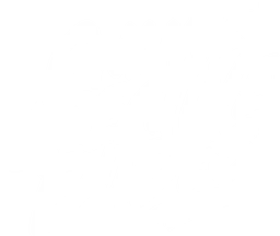 Online Creative Dudes